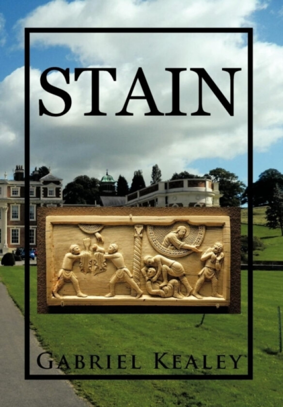 Stain av Gabriel Kealey (Hardcover)