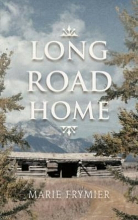 Long Road Home av Marie Frymier (Hardcover)
