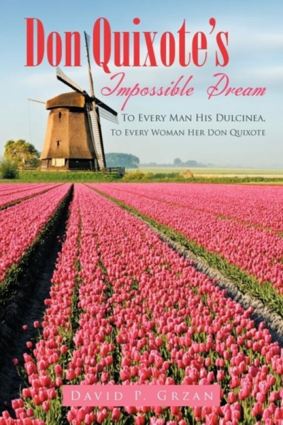 Don Quixote's Impossible Dream av David P. Grzan (Paperback)