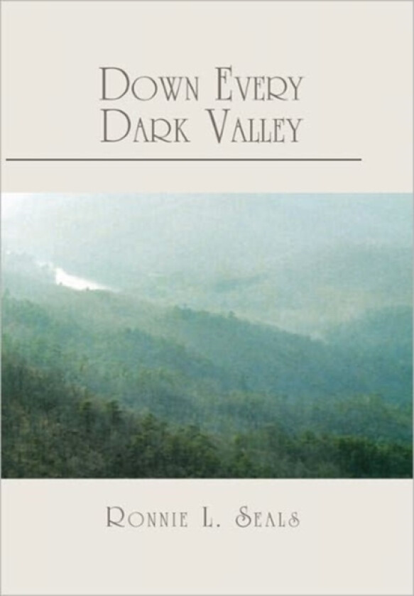 Down Every Dark Valley av Ronnie L Seals (Paperback)