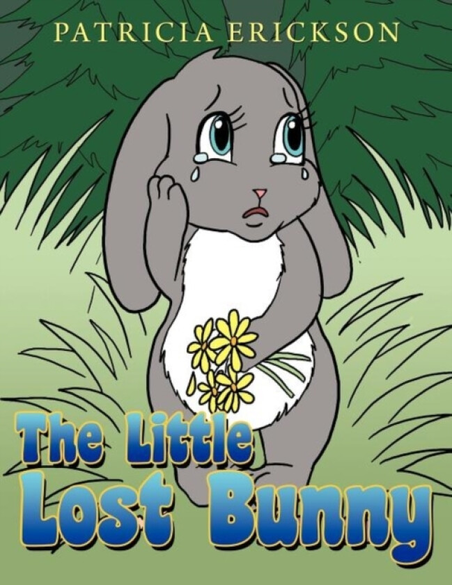 The Little Lost Bunny av Patricia Erickson (Paperback)