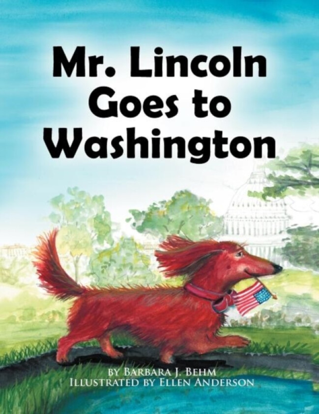 Mr. Lincoln Goes to Washington av Barbara J Behm (Paperback)