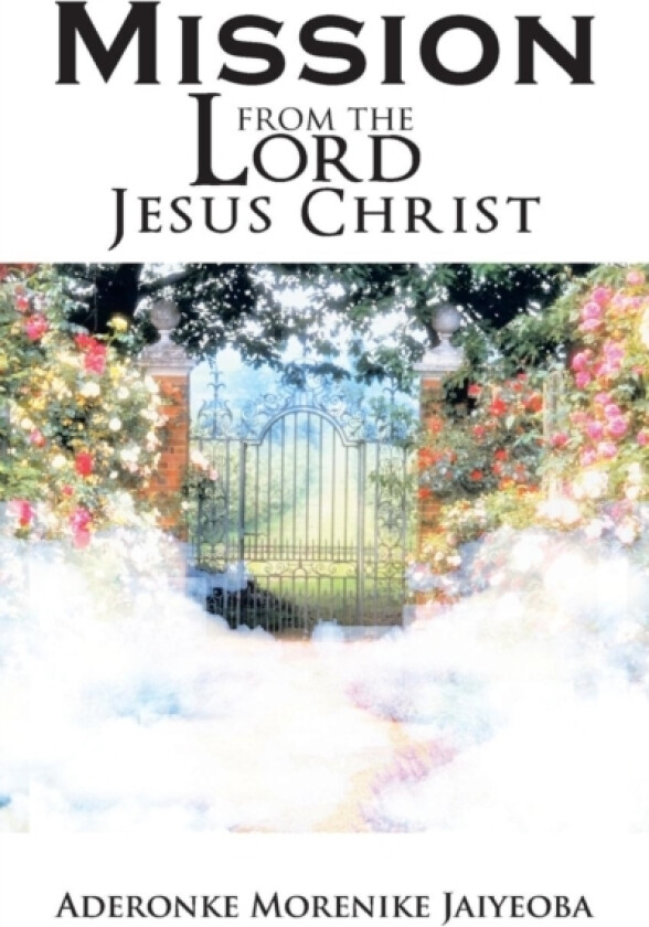 Mission from the Lord Jesus Christ av Aderonke Morenike Jaiyeoba (Paperback)