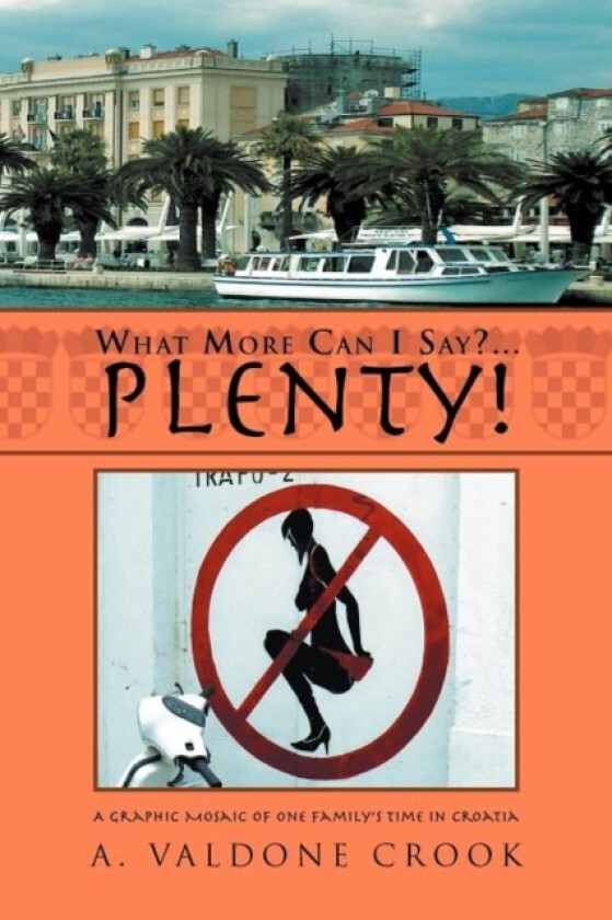What More Can I Say? . . . Plenty! av A Valdone Crook (Paperback)