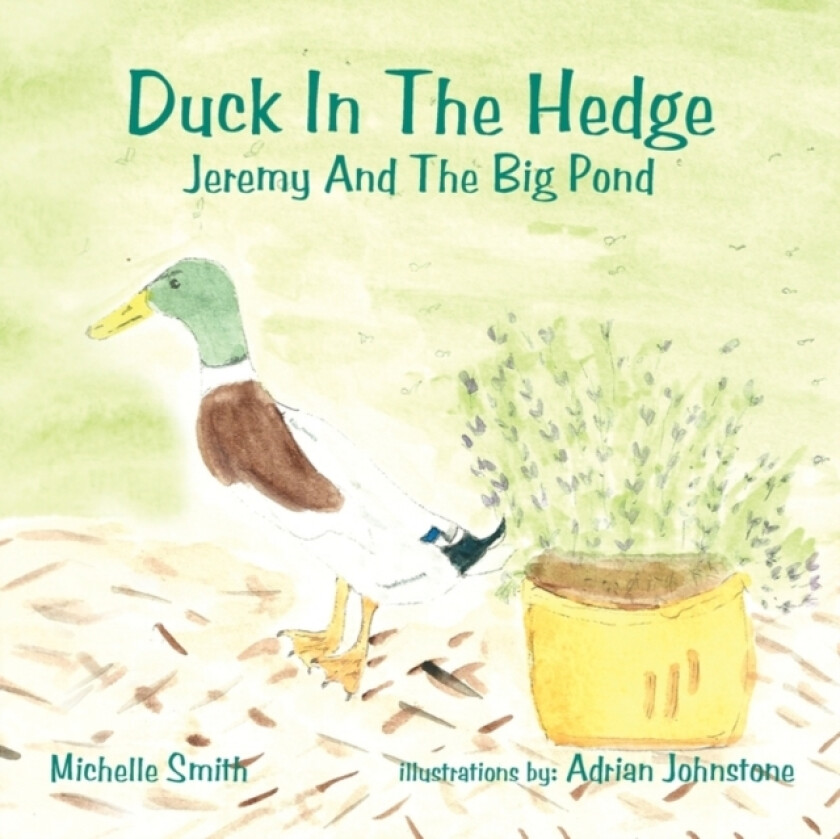 Duck In The Hedge av Michelle Smith (Paperback)