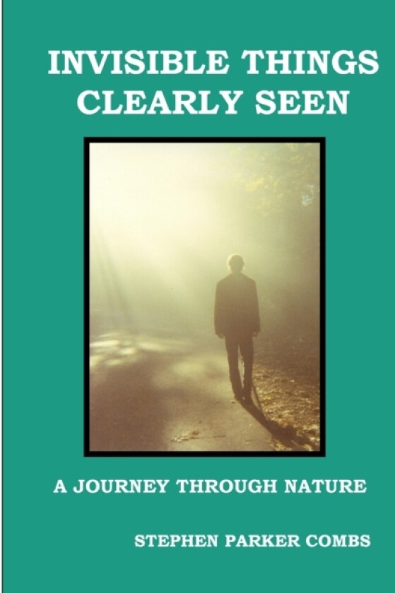 Invisible Things Clearly Seen av Stephen Parker Combs (Paperback)