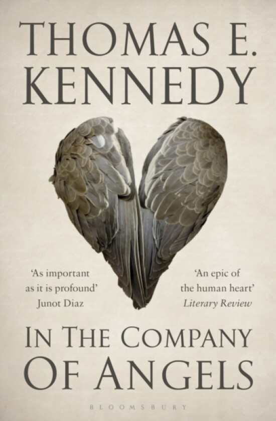In the Company of Angels av Thomas E. Kennedy (Paperback)