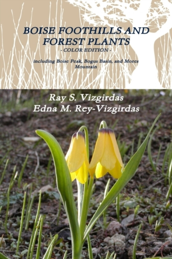 Boise Foothills and Forest Plants - Color Edition av Ray S Vizgirdas, Edna M Rey-Vizgirdas (Paperback)