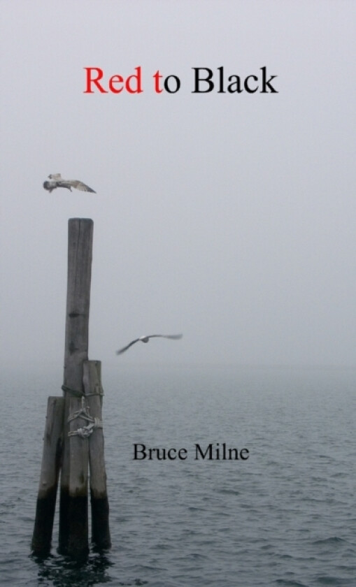 Red to Black av Bruce Milne (Paperback)