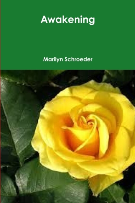 Awakening av Marilyn Schroeder (Paperback)