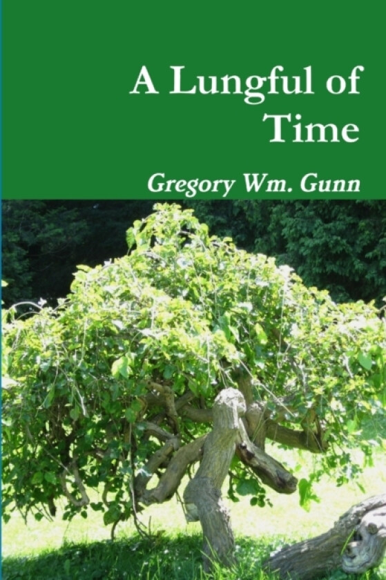 A Lungful of Time av Gregory Gunn (Paperback)