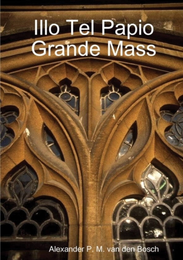 Illo Tel Papio Grande Mass av Alexander P M Van Den Bosch (Paperback)