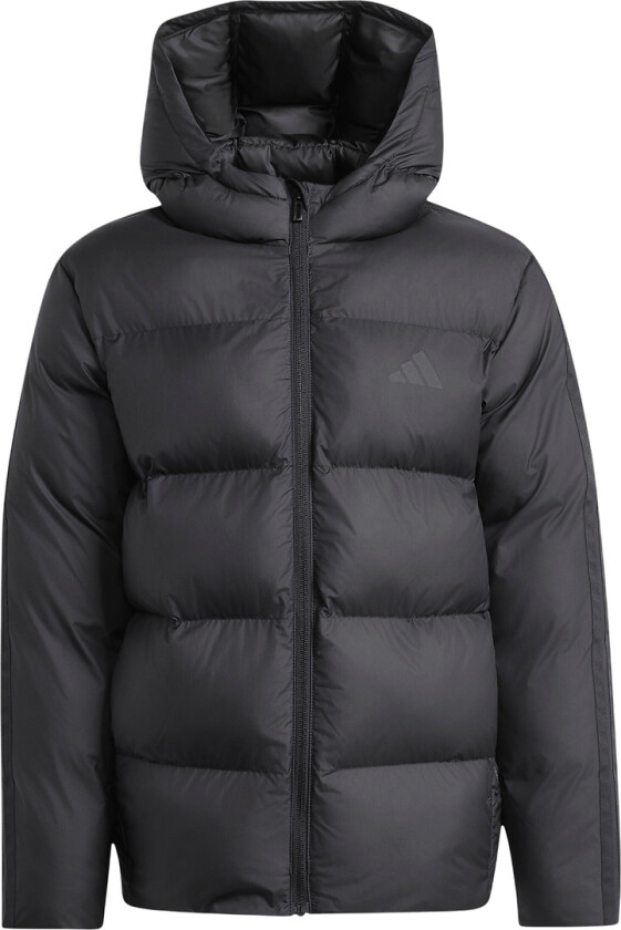 Polstret Jakke - J SD 3S JKT - Svart - - 10 år (140) - Dunjakke
