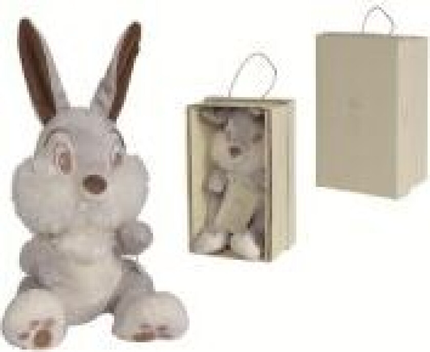 Disney Stampe Giftbox