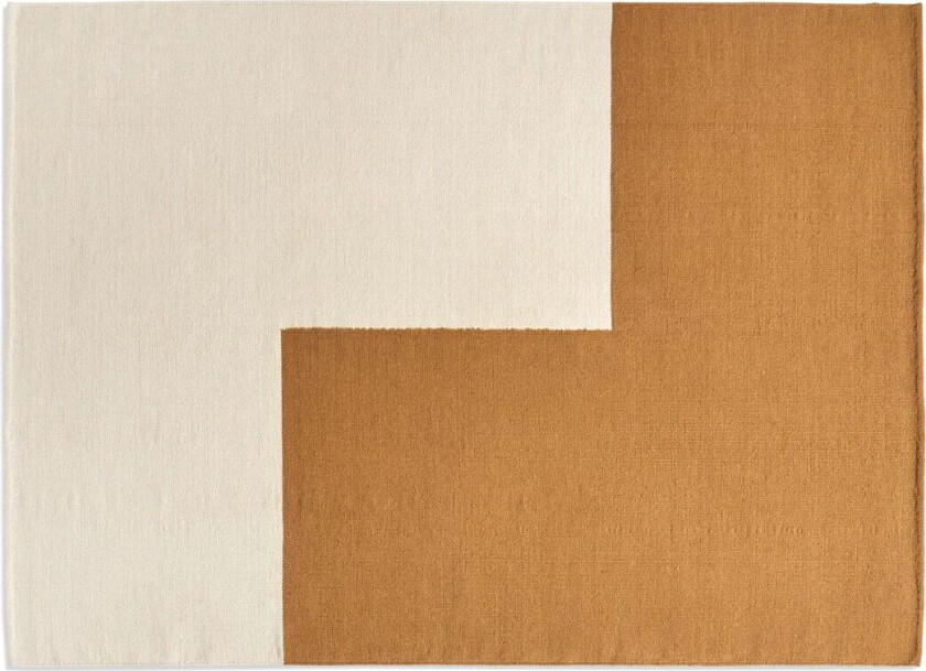 Bilde av Ethan Cook Flat Works teppe 170 x 240 cm Brown L
