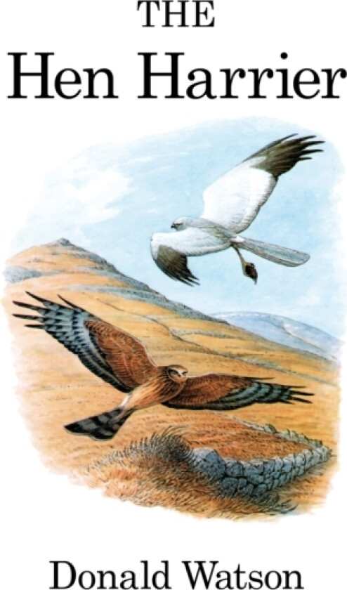 The Hen Harrier av Donald Watson (Hardcover)