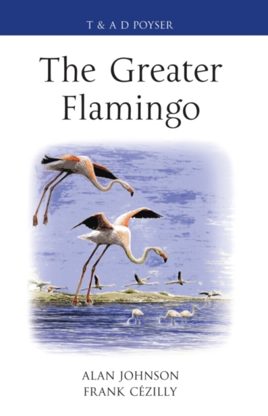The Greater Flamingo av Alan Johnson, Frank Cezilly (Hardcover)