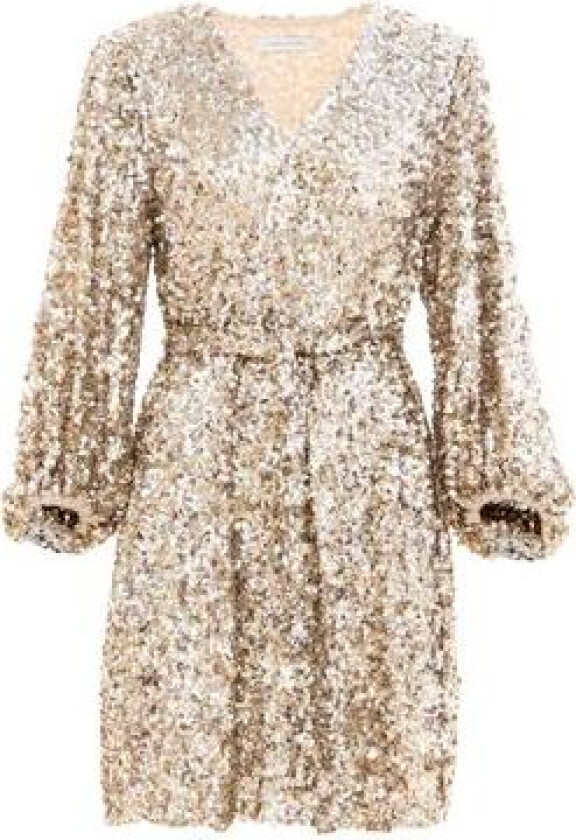 Bianca Sequin Dress - Champagne M