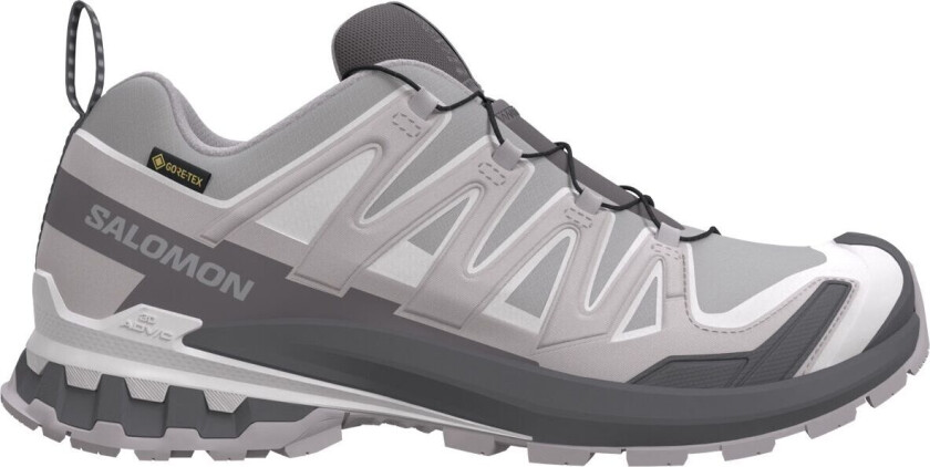 Women's Xa Pro 3d V9 Gore-tex Alloy / Castlerock / Lunar Rock 4