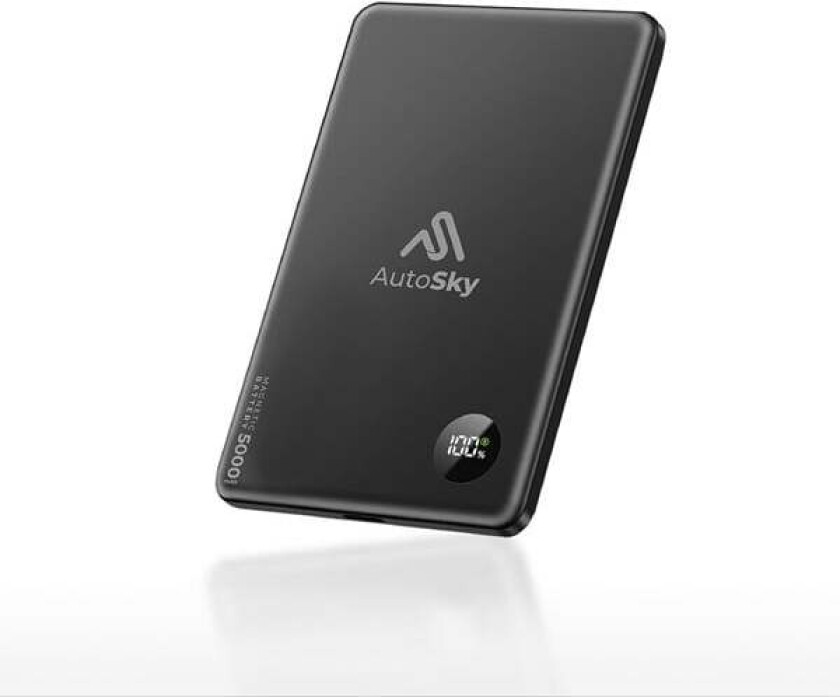 APB100 - 5000 mAh