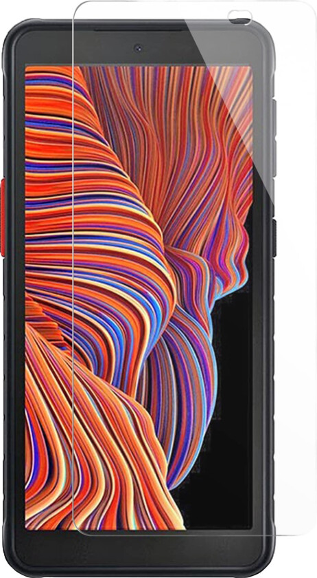 PANZER Samsung Galaxy Xcover 5 PANZER Premium Tempered Glass