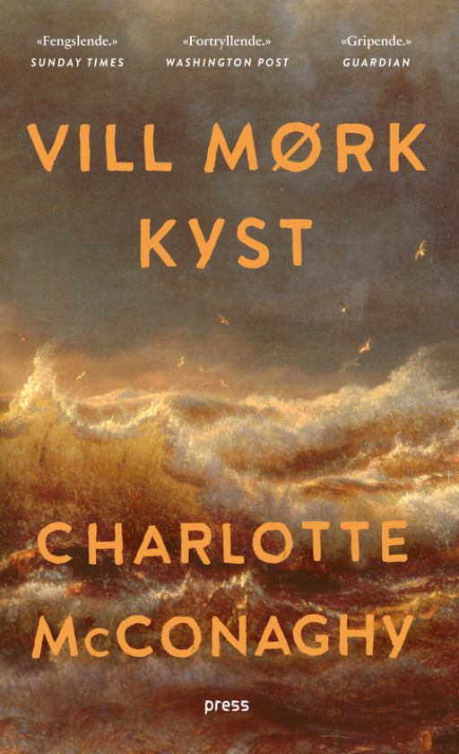 Vill mørk kyst