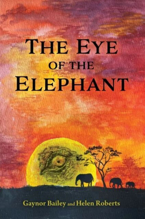 The Eye of the Elephant av Gaynor Bailey, Helen Roberts