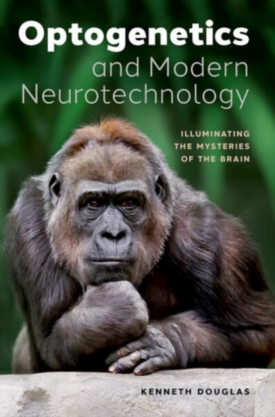 Optogenetics and Modern Neurotechnology Illuminating the Mysteries of the Brain