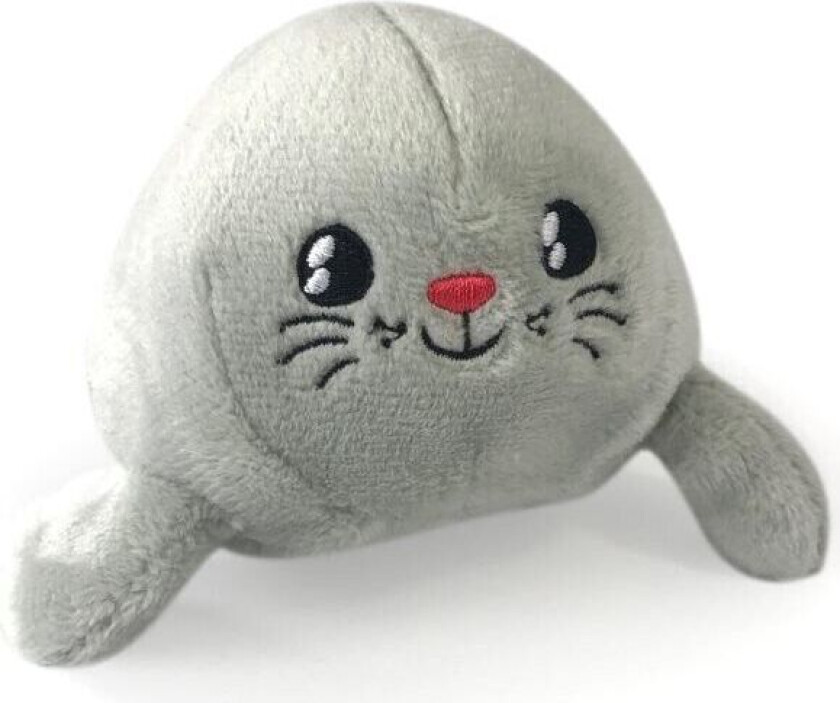 Myk Nattlampe Skakis Säl