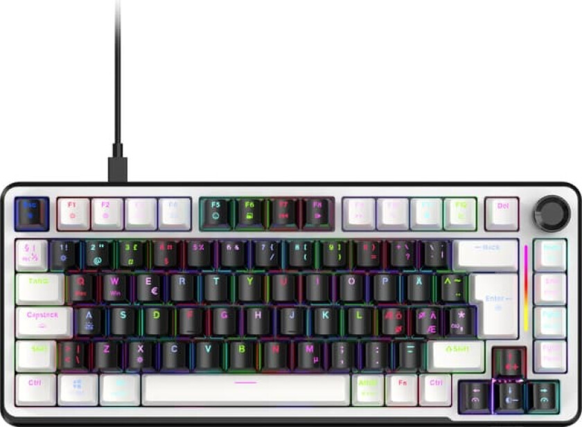 C550 gamingtastatur (sort/hvit)