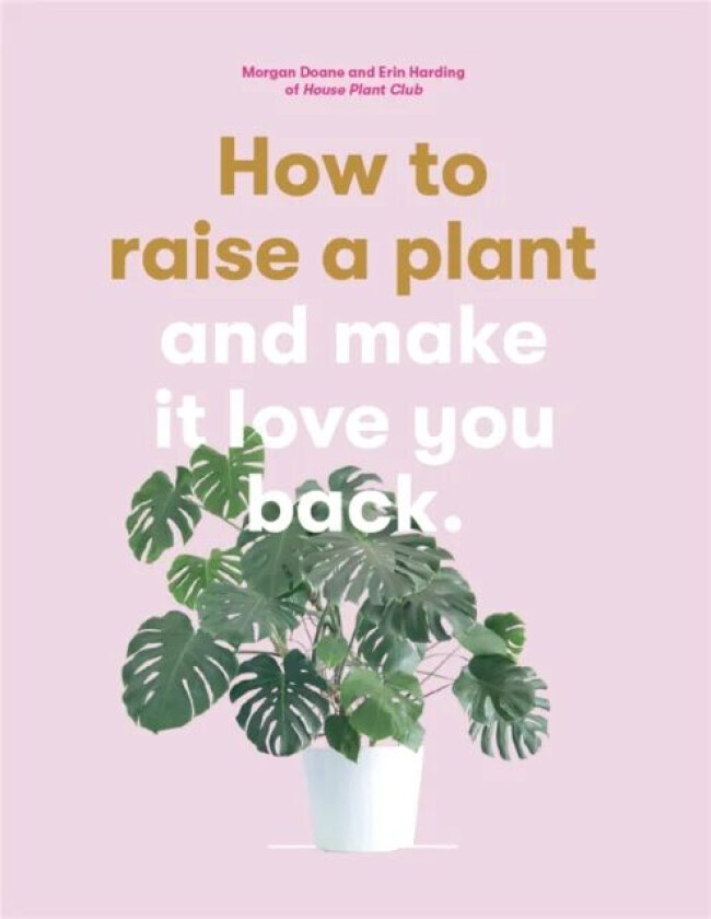 How to Raise a Plant av Morgan Doane, Erin Harding