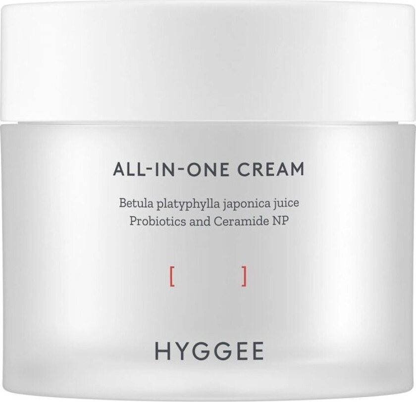 All-in-One Cream 80 ml