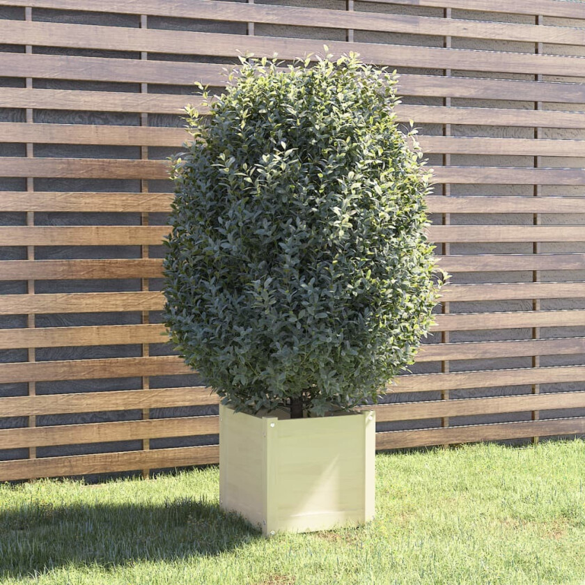 Blomsterkasse hvit 40x40x40 cm heltre furu