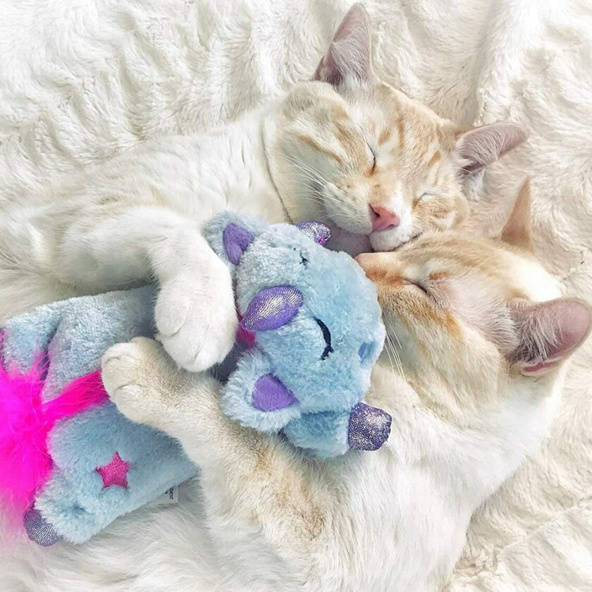 Unicorn katteleke