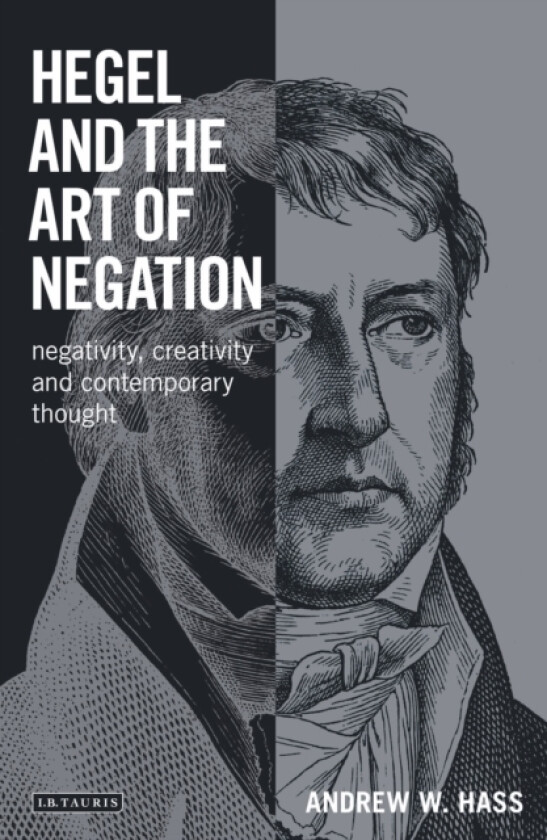 Hegel and the Art of Negation av Andrew W. Hass (Paperback)