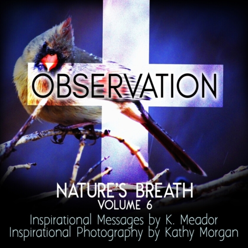 Nature's Breath av K Meador (Paperback)