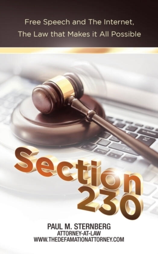 Section 230 av Paul M Sternberg (Paperback)