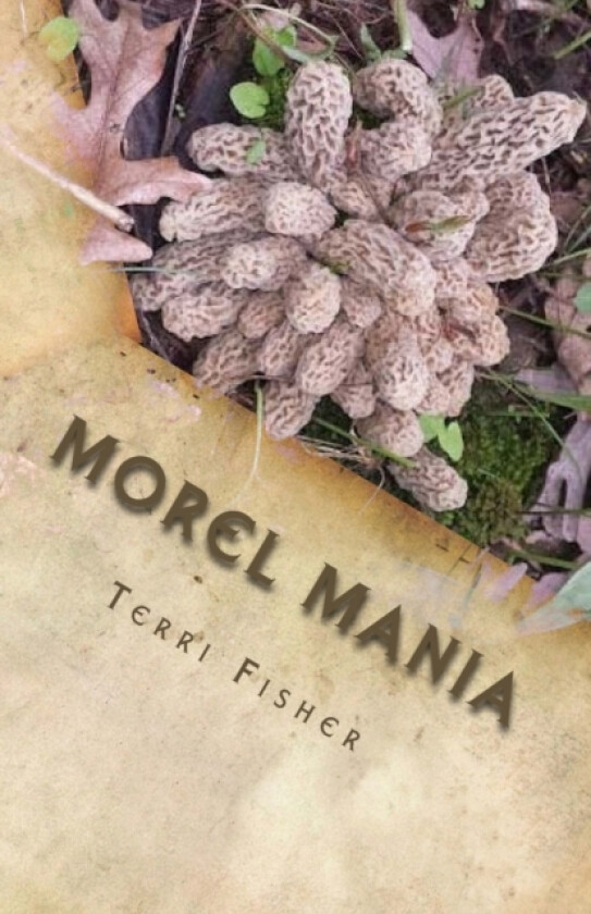 Morel Mania av Terri Fisher (Paperback)