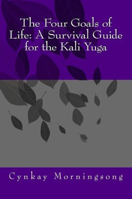The Four Goals of Life av Cynkay Morningsong M a (Paperback)