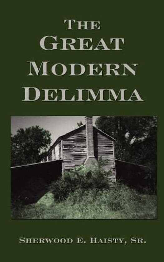 The Great Modern Delimma av Sherwood E Sr Haisty (Paperback)