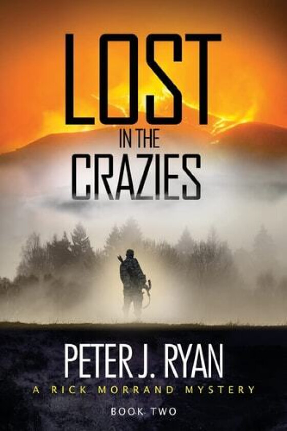 Lost in the Crazies av Peter J Ryan (Paperback)