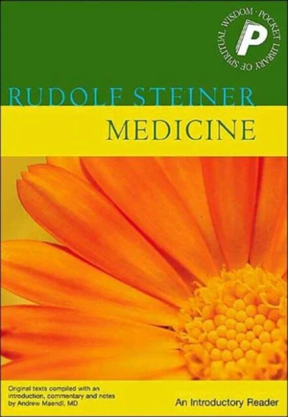 Medicine av Rudolf Steiner