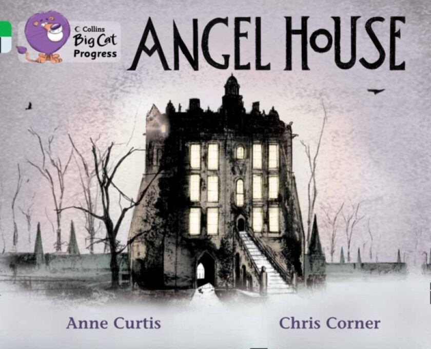 Angel House av Anne Curtis (Paperback)