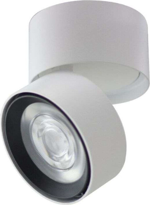 Ray Spot spotlight Sort