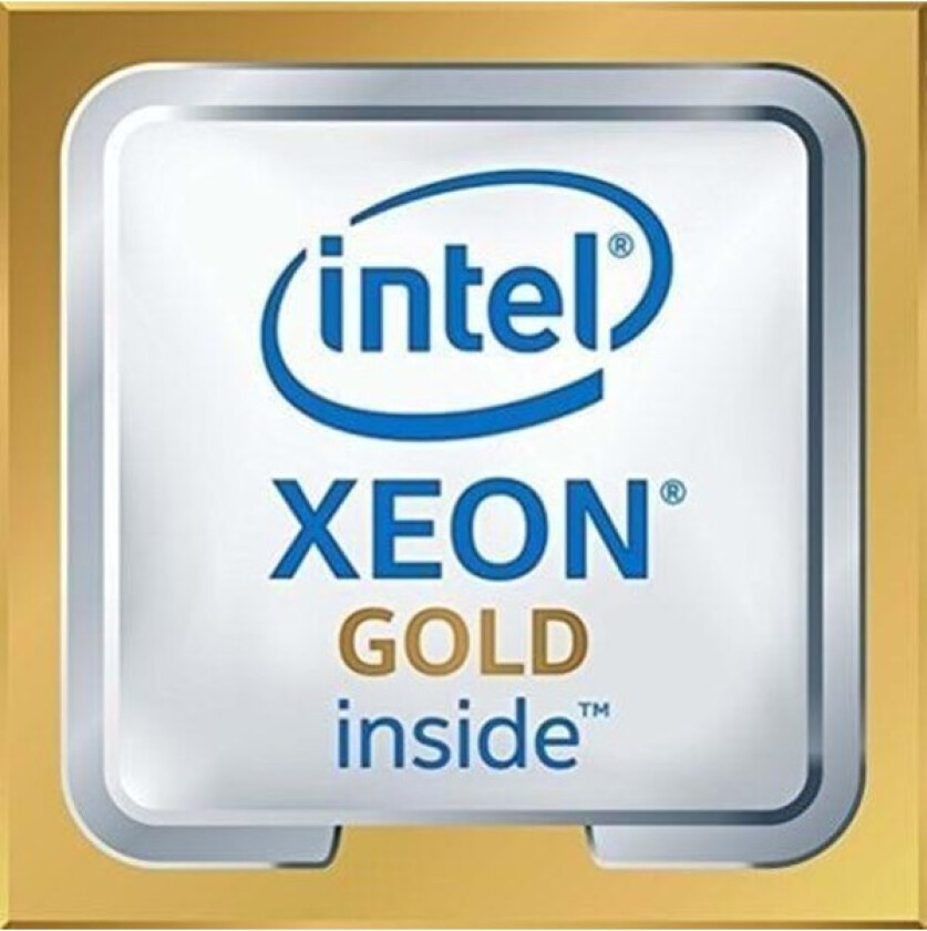 Xeon Gold 6242 - Cascade Lake Prosessor/CPU - 16 kjerner - 2.8 GHz - LGA3647 - Boks (med kjøler)