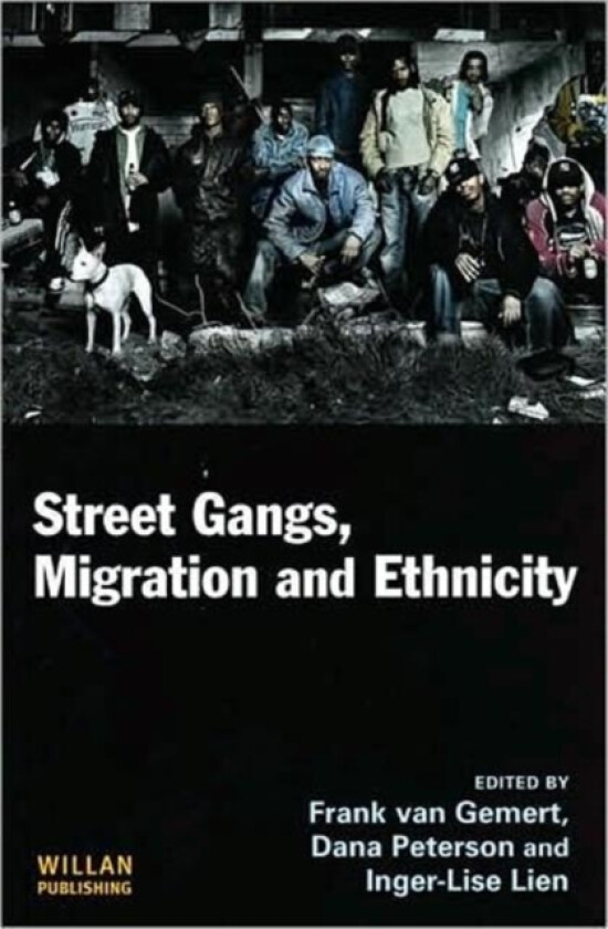 Street Gangs, Migration and Ethnicity av Frank van Gemert, Dana Peterson, Inger-Lise Lien (Hardcover)