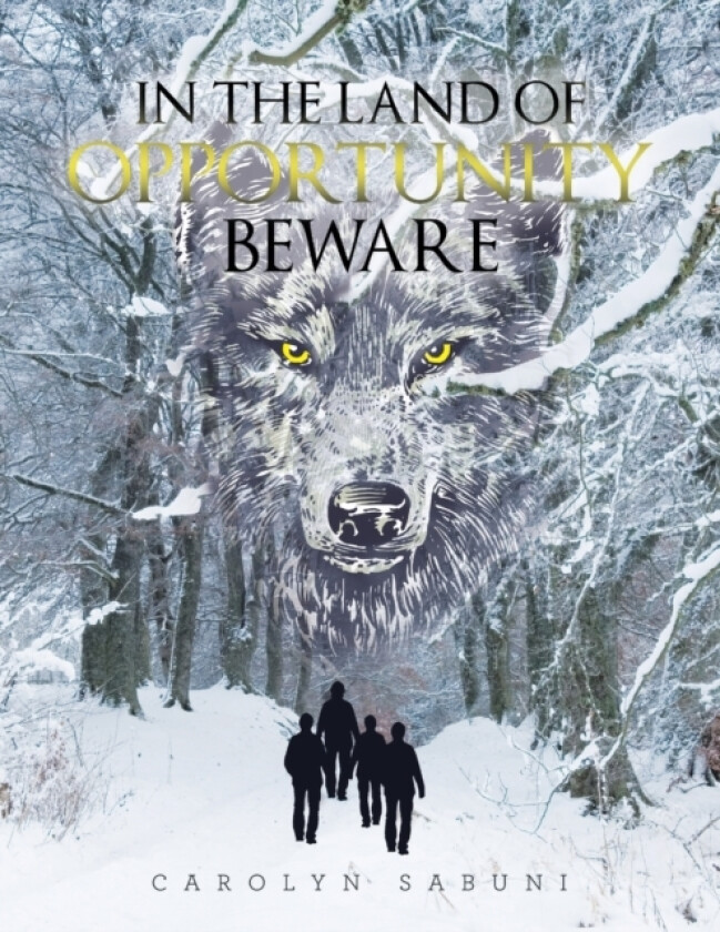 In the Land of Opportunity Beware av Carolyn Sabuni (Paperback)
