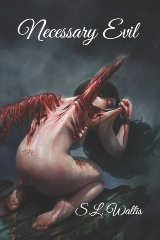 Necessary Evil av Shawn Wallis (Paperback)