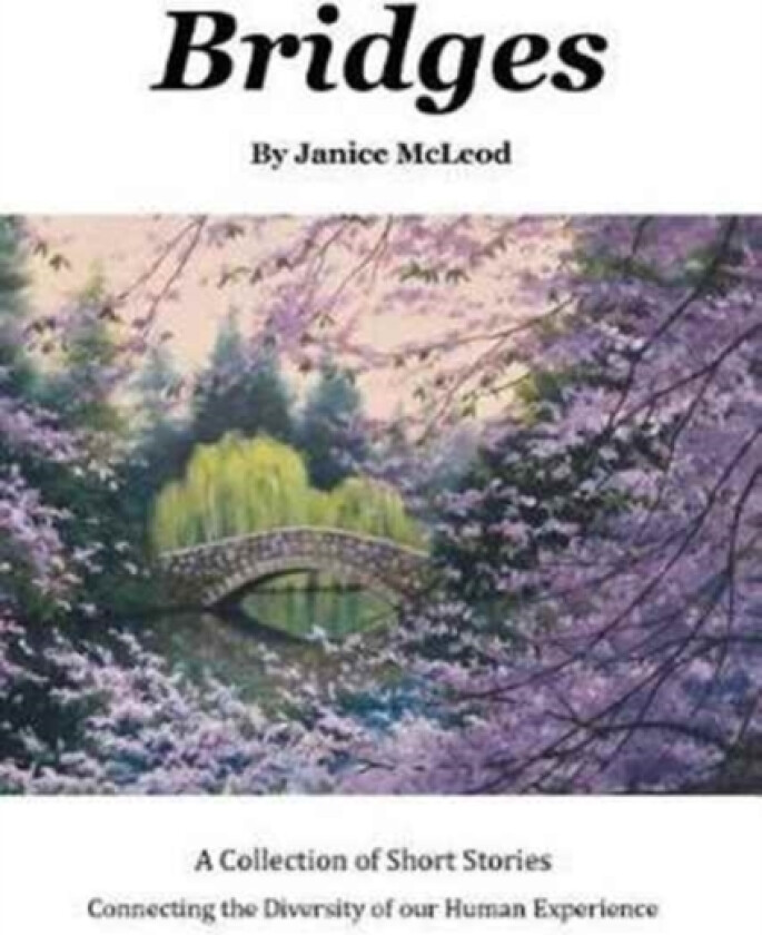 Bridges av Janice McLeod (Paperback)