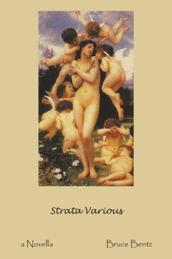 Strata Various av Bruce Bentz (Paperback)